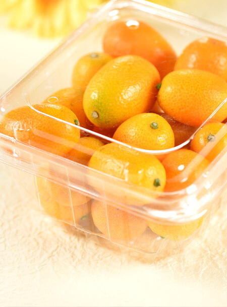 Fruit Punnets
